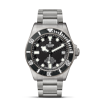 Tudor Pelagos